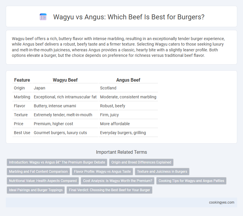 Wagyu vs Angus: Which Beef Is Best for Burgers?