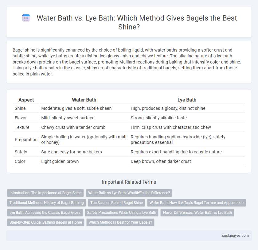 Water Bath vs. Lye Bath: Which Method Gives Bagels the Best Shine?