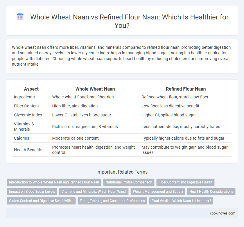 Whole Wheat Naan vs Refined Flour Naan: Which Is Healthier for You?