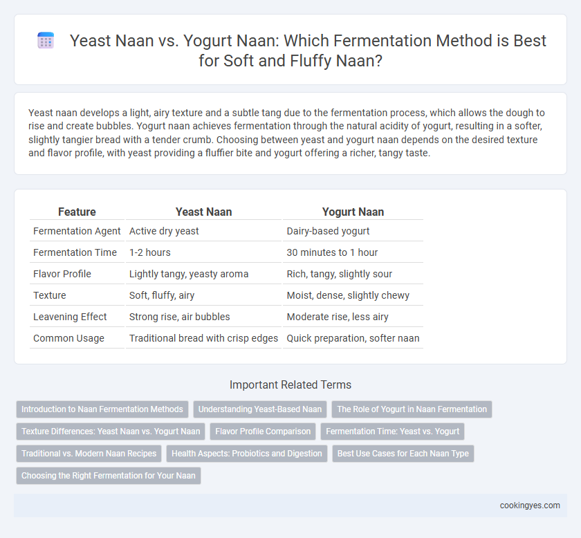 Yeast Naan vs. Yogurt Naan: Which Fermentation Method is Best for Soft and Fluffy Naan?