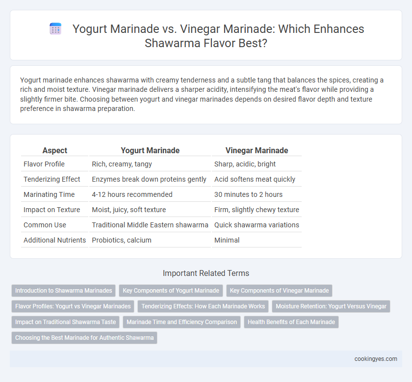 Yogurt Marinade vs. Vinegar Marinade: Which Enhances Shawarma Flavor Best?
