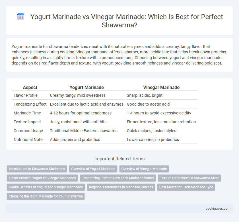 Yogurt Marinade vs Vinegar Marinade: Which Is Best for Perfect Shawarma?