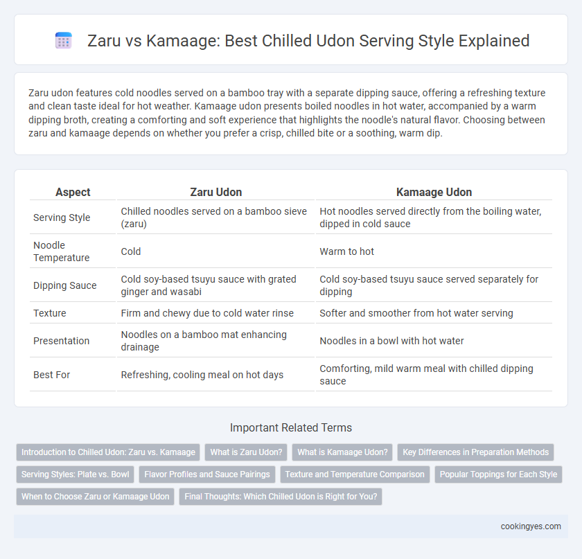 Zaru vs Kamaage: Best Chilled Udon Serving Style Explained