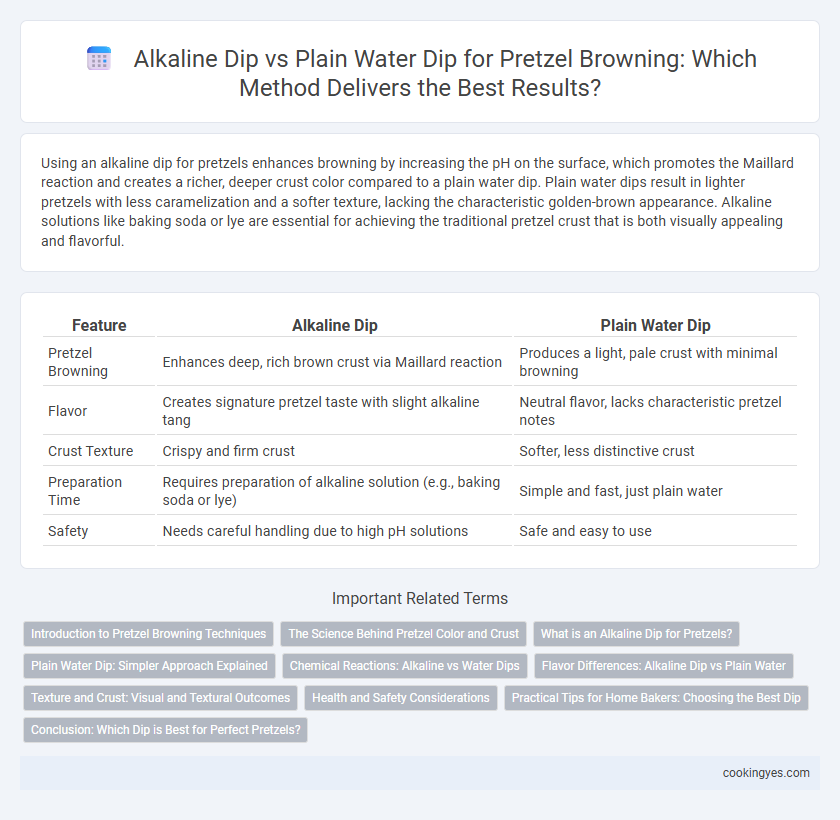 Alkaline Dip vs Plain Water Dip for Pretzel Browning: Which Method Delivers the Best Results?