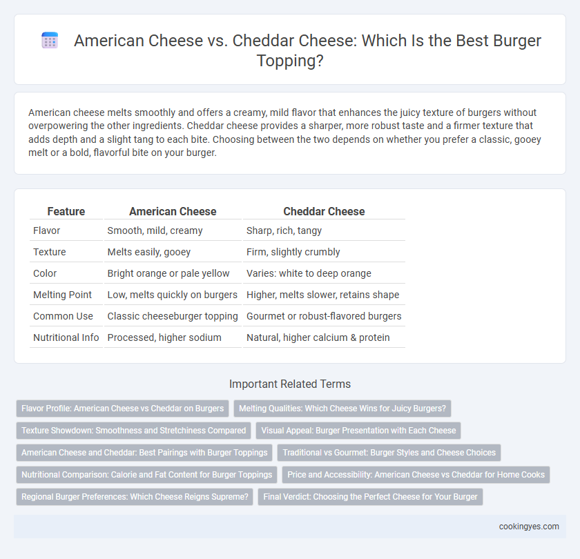 American Cheese vs. Cheddar Cheese: Which Is the Best Burger Topping?