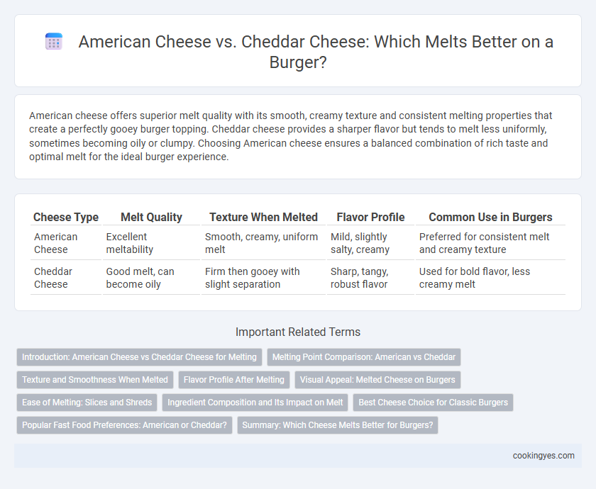 American Cheese vs. Cheddar Cheese: Which Melts Better on a Burger?