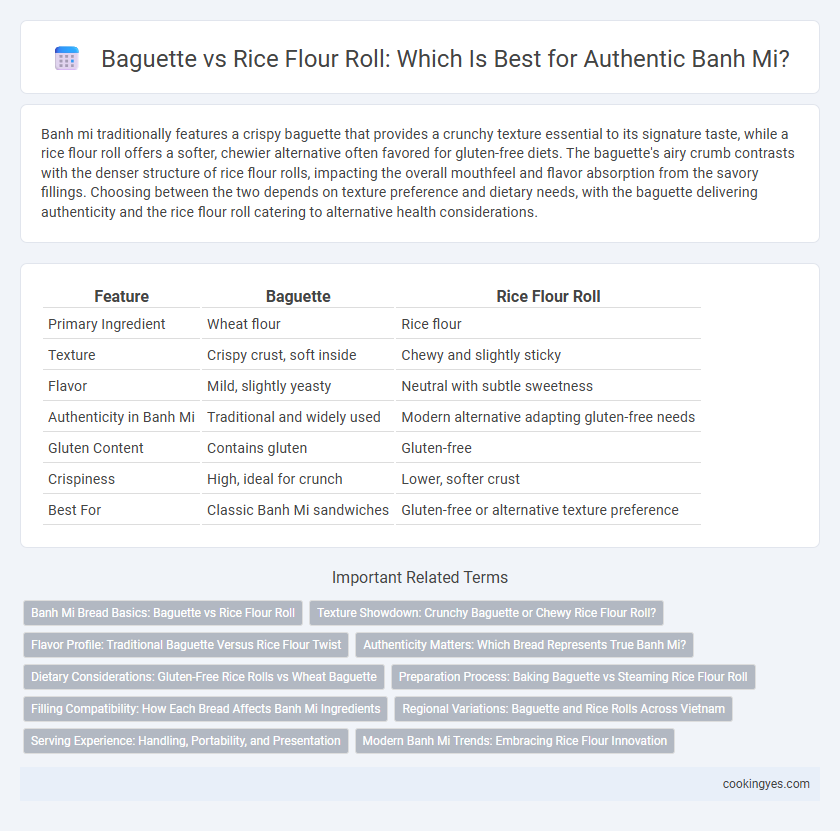 Baguette vs Rice Flour Roll: Which Is Best for Authentic Banh Mi?