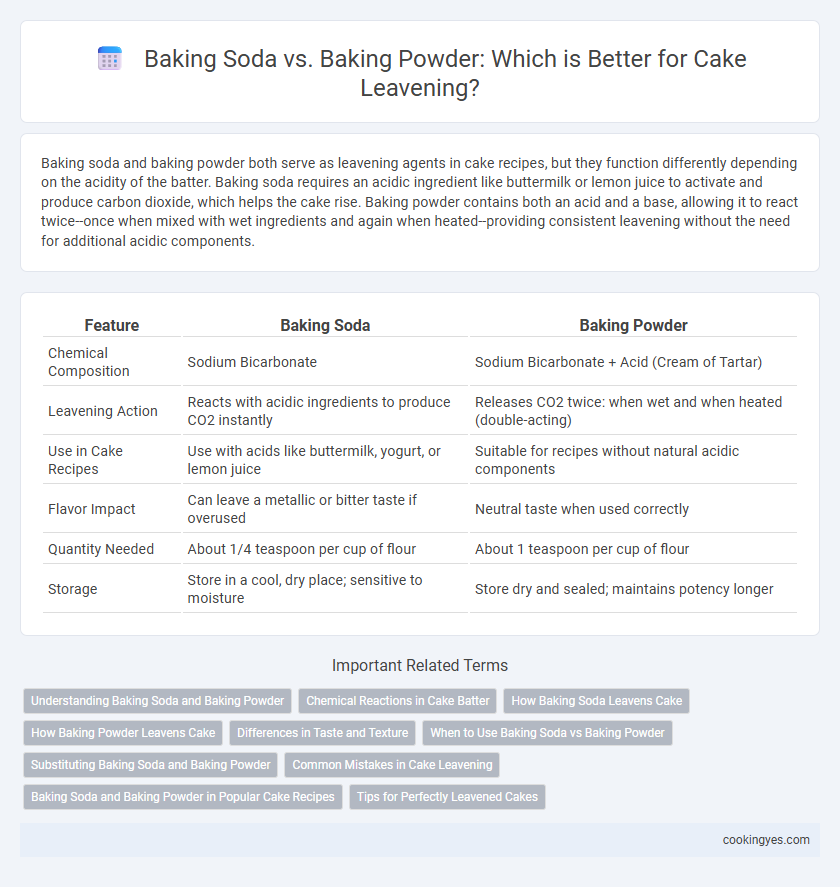 Baking Soda vs. Baking Powder: Which is Better for Cake Leavening?