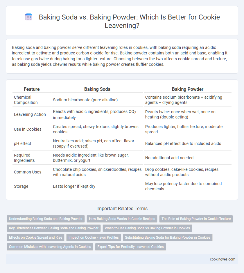 Baking Soda vs. Baking Powder: Which Is Better for Cookie Leavening?
