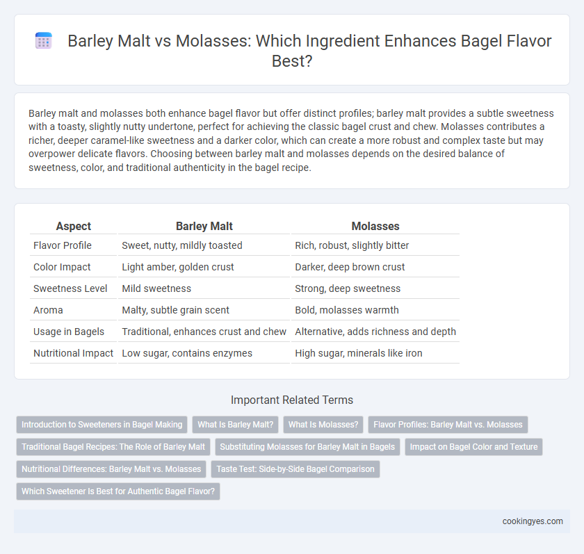 Barley Malt vs Molasses: Which Ingredient Enhances Bagel Flavor Best?