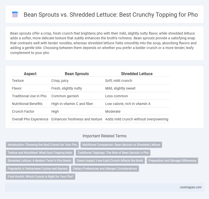 Bean Sprouts vs. Shredded Lettuce: Best Crunchy Topping for Pho