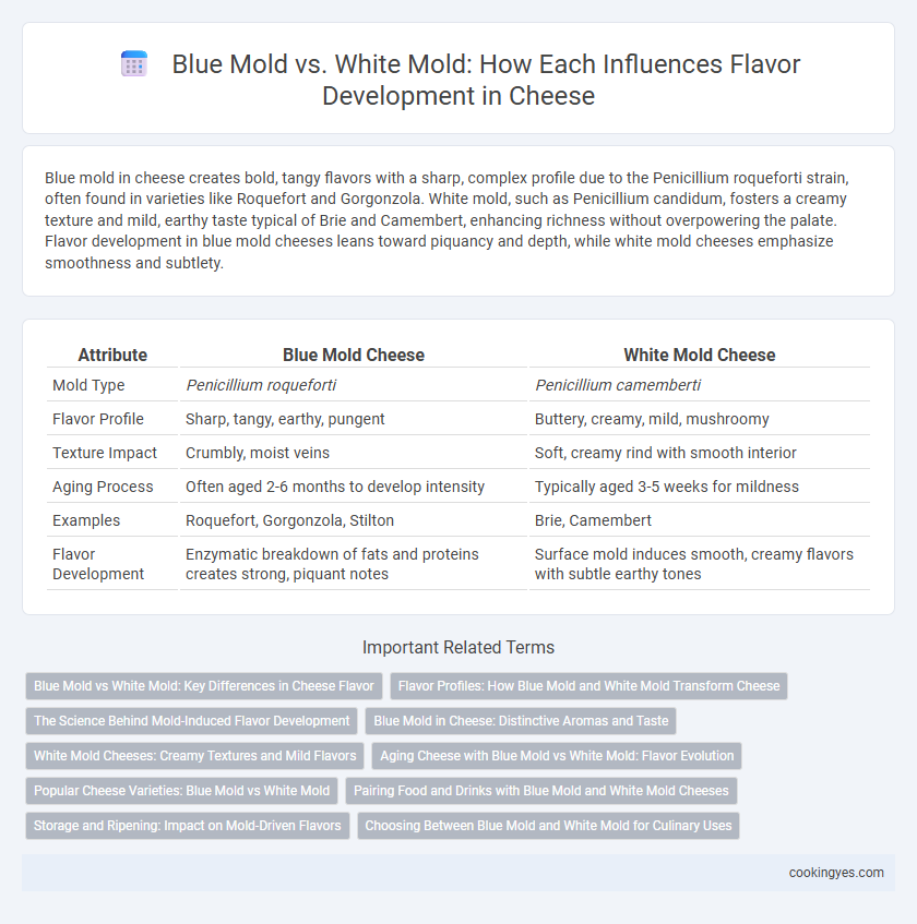 Blue Mold vs. White Mold: How Each Influences Flavor Development in Cheese