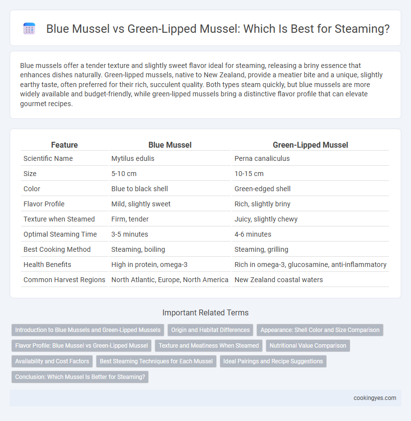 Blue Mussel vs Green-Lipped Mussel: Which Is Best for Steaming?