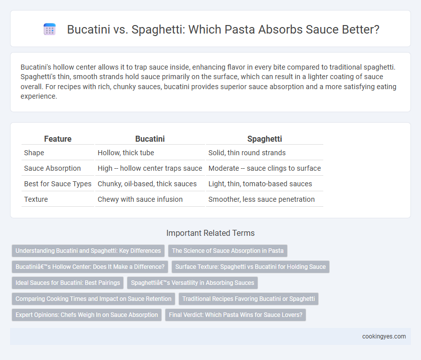Bucatini vs. Spaghetti: Which Pasta Absorbs Sauce Better?