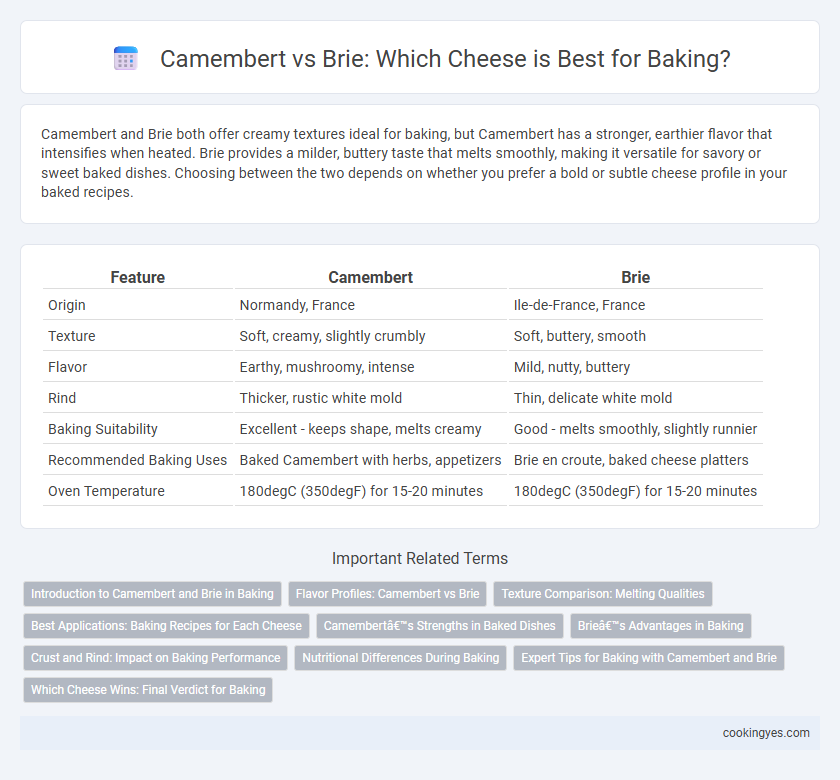 Camembert vs Brie: Which Cheese is Best for Baking?