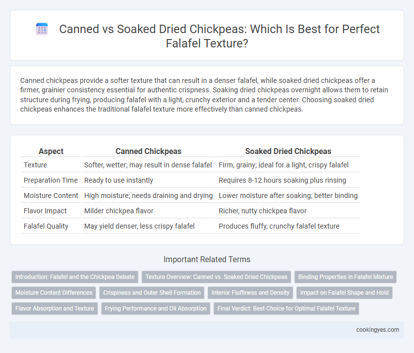 Canned vs Soaked Dried Chickpeas: Which Is Best for Perfect Falafel Texture?