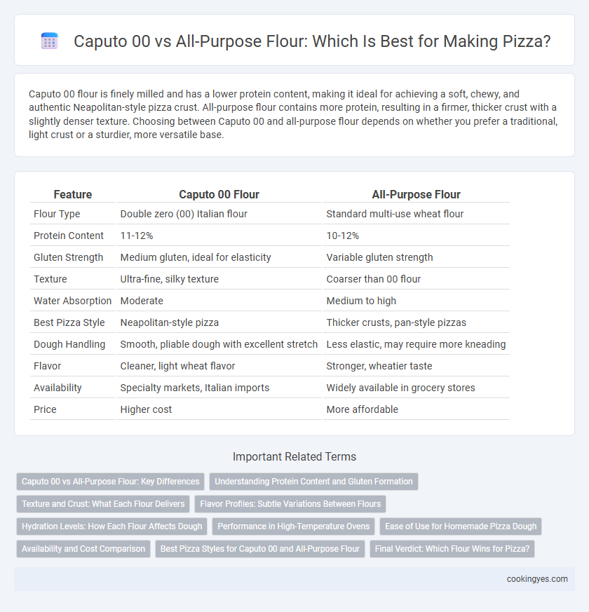 Caputo 00 vs All-Purpose Flour: Which Is Best for Making Pizza?