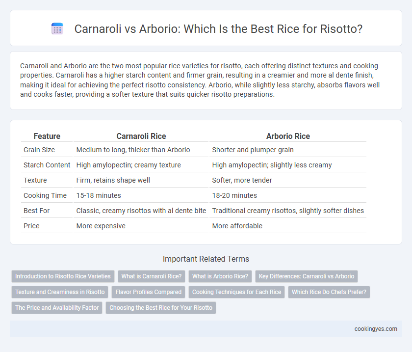 Carnaroli vs Arborio: Which Is the Best Rice for Risotto?