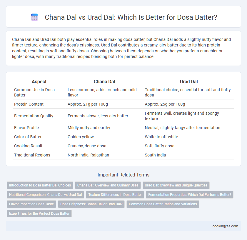 Chana Dal vs Urad Dal: Which Is Better for Dosa Batter?