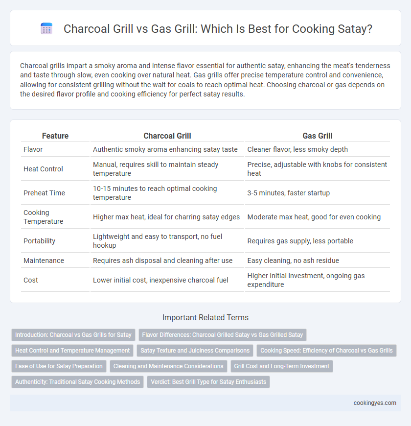 Charcoal Grill vs Gas Grill: Which Is Best for Cooking Satay?