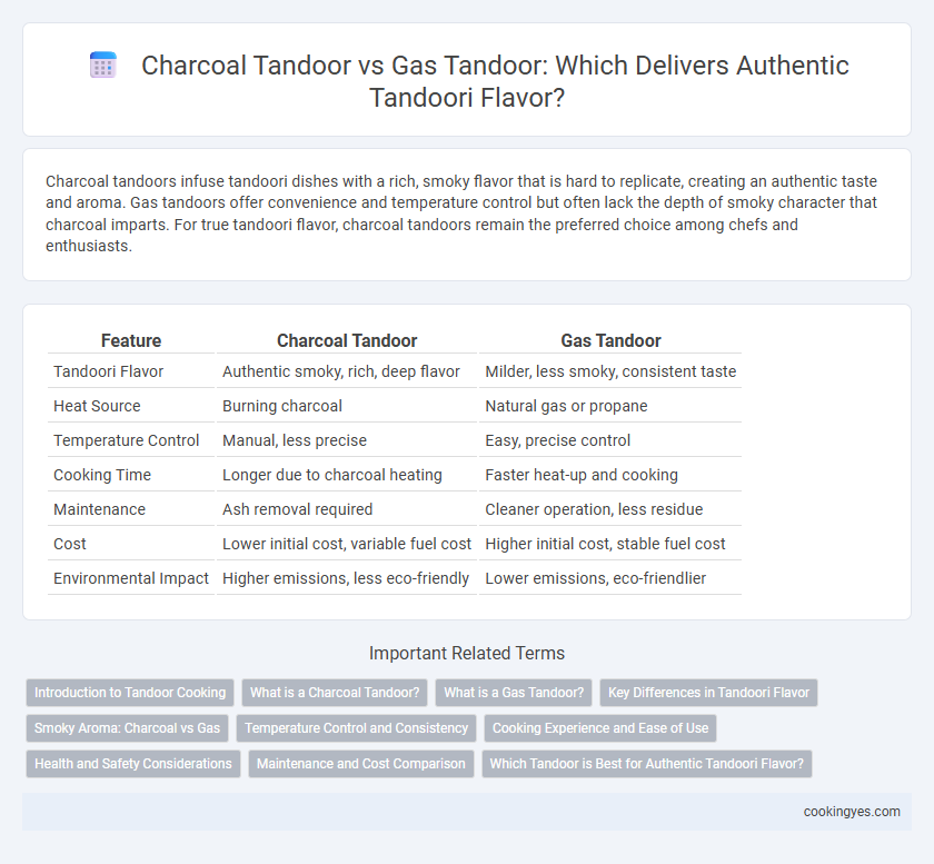 Charcoal Tandoor vs Gas Tandoor: Which Delivers Authentic Tandoori Flavor?