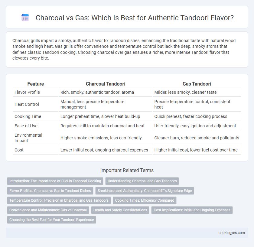 Charcoal vs Gas: Which Is Best for Authentic Tandoori Flavor?