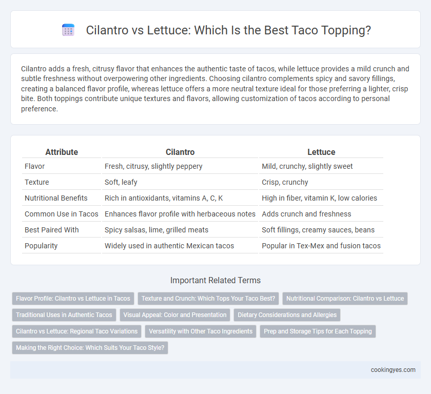 Cilantro vs Lettuce: Which Is the Best Taco Topping?