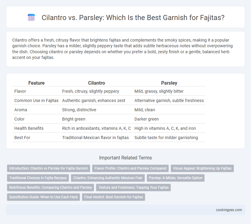 Cilantro vs. Parsley: Which Is the Best Garnish for Fajitas?