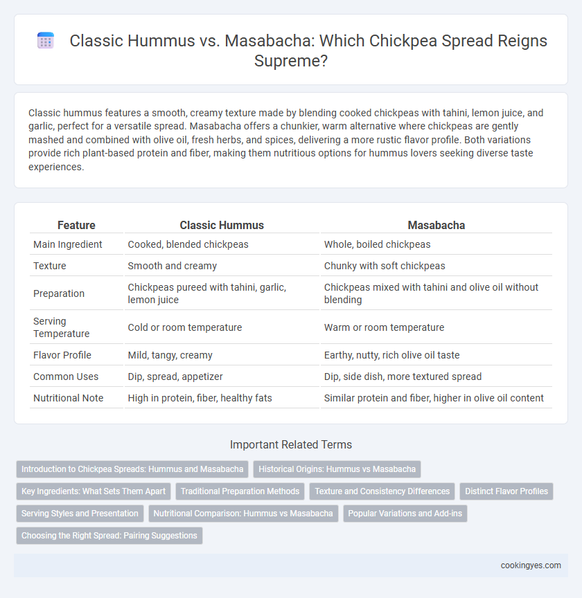 Classic Hummus vs. Masabacha: Which Chickpea Spread Reigns Supreme?