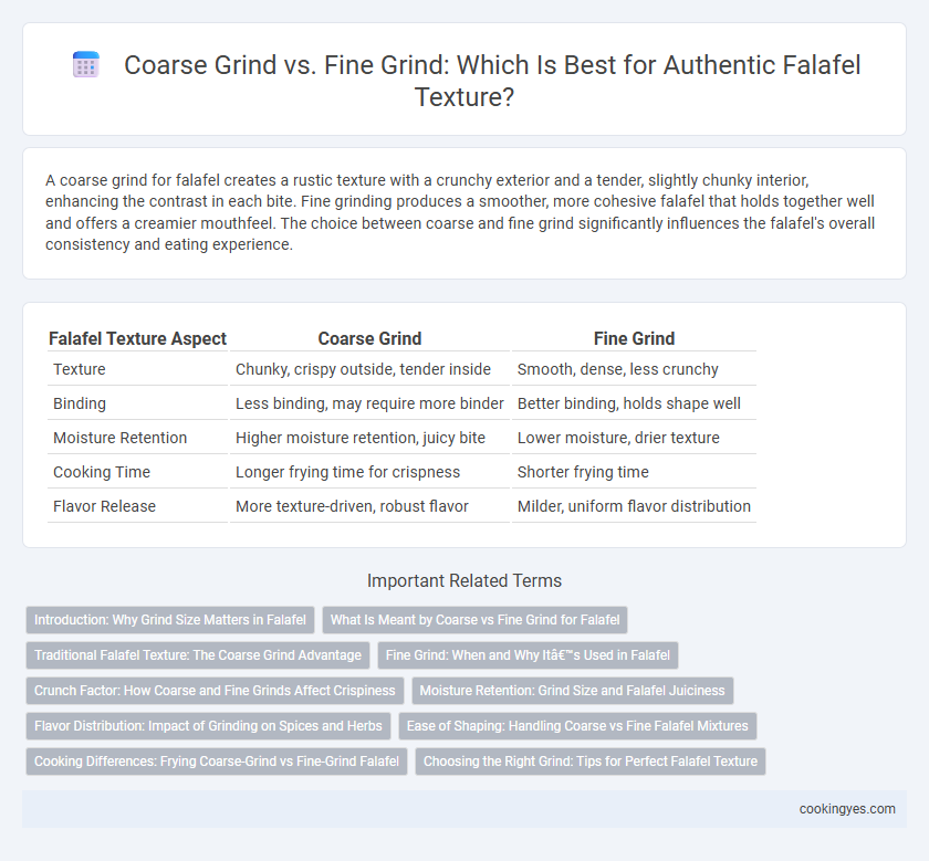 Coarse Grind vs. Fine Grind: Which Is Best for Authentic Falafel Texture?
