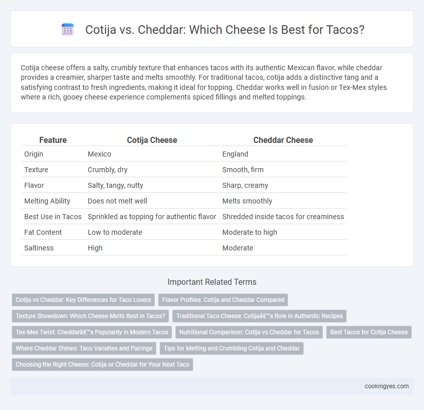 Cotija vs. Cheddar: Which Cheese Is Best for Tacos?