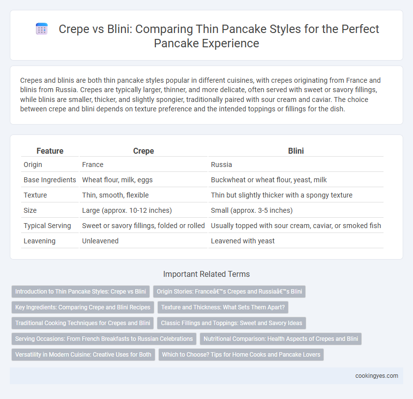 Crepe vs Blini: Comparing Thin Pancake Styles for the Perfect Pancake Experience