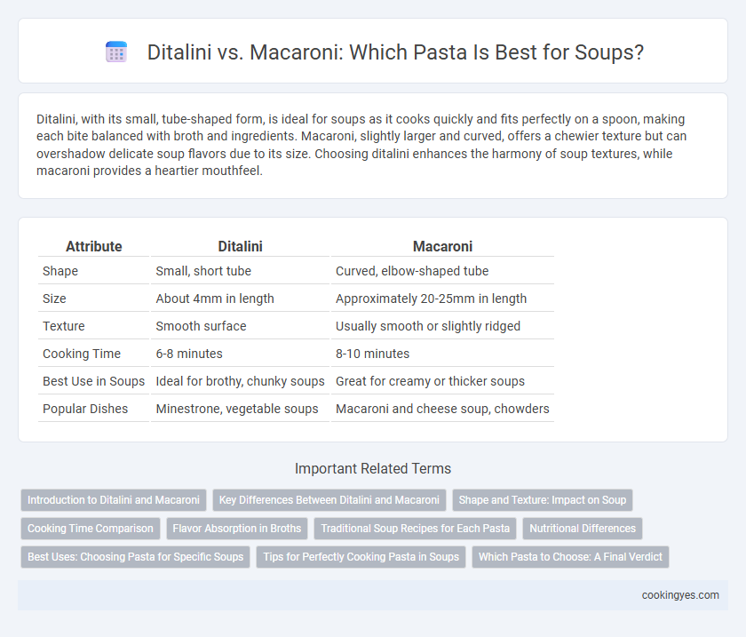 Ditalini vs. Macaroni: Which Pasta Is Best for Soups?