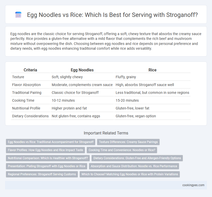 Egg Noodles vs Rice: Which Is Best for Serving with Stroganoff?