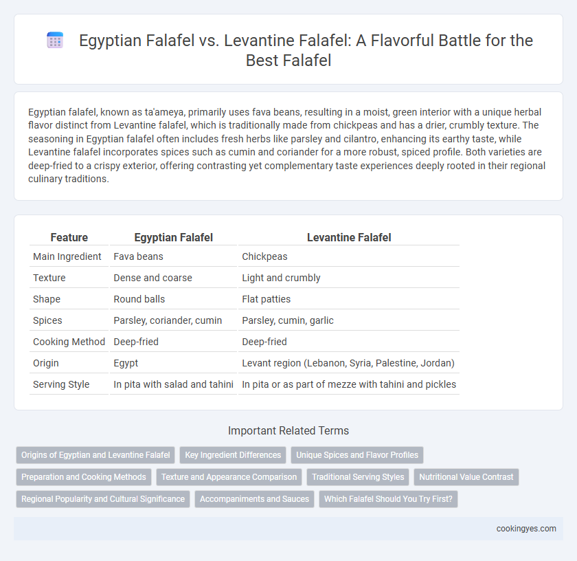 Egyptian Falafel vs. Levantine Falafel: A Flavorful Battle for the Best Falafel
