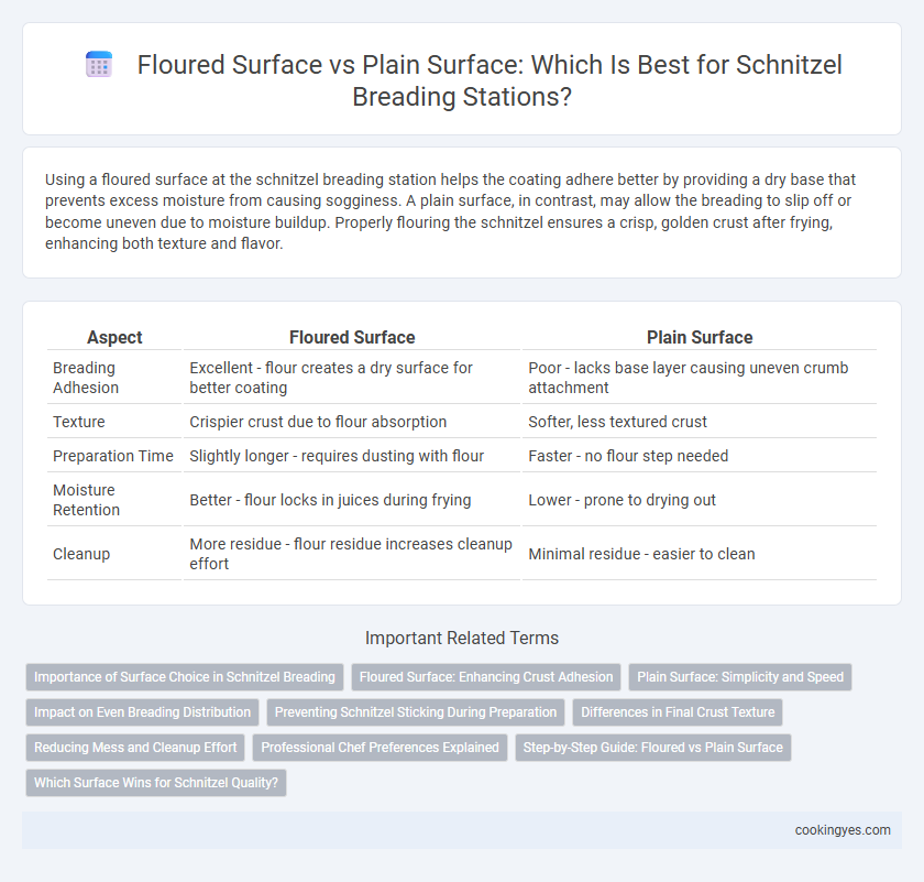 Floured Surface vs Plain Surface: Which Is Best for Schnitzel Breading Stations?