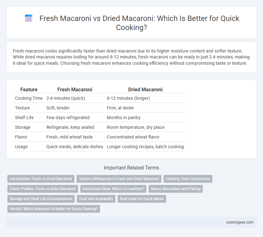 Fresh Macaroni vs Dried Macaroni: Which Is Better for Quick Cooking?