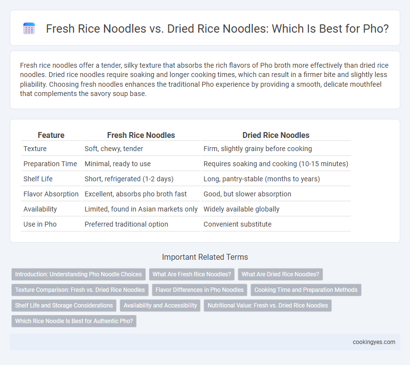 Fresh Rice Noodles vs. Dried Rice Noodles: Which Is Best for Pho?