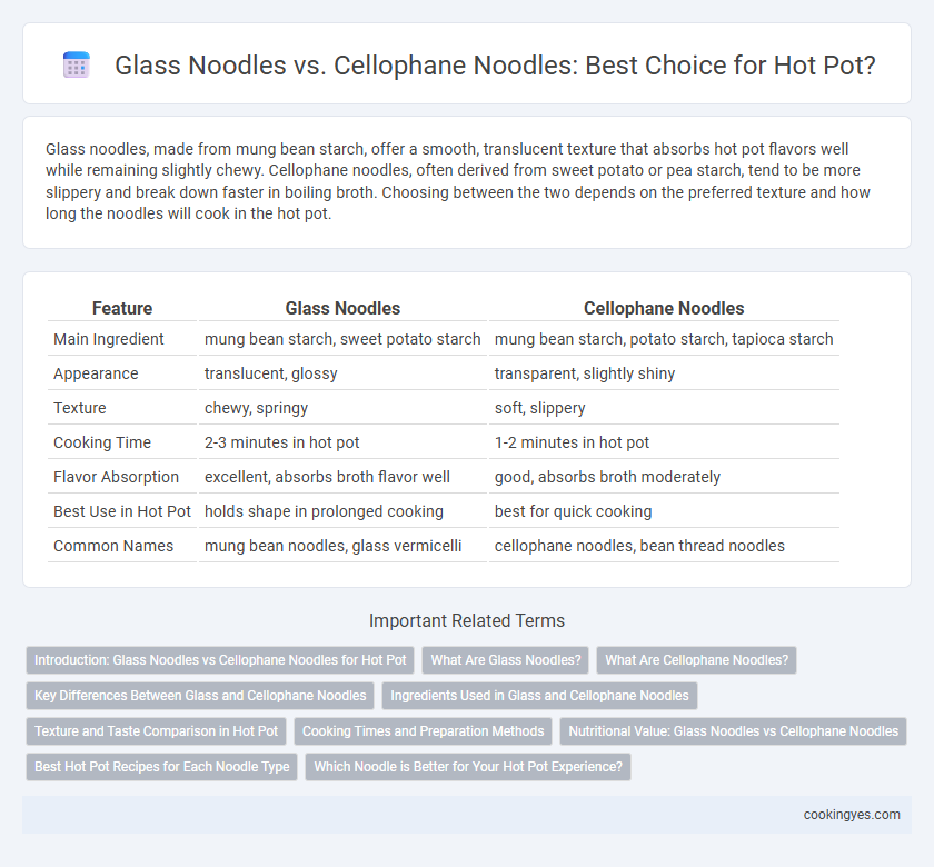 Glass Noodles vs. Cellophane Noodles: Best Choice for Hot Pot?