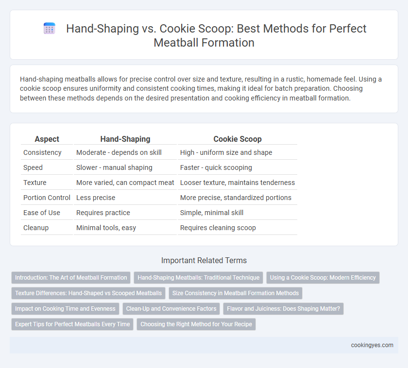 Hand-Shaping vs. Cookie Scoop: Best Methods for Perfect Meatball Formation