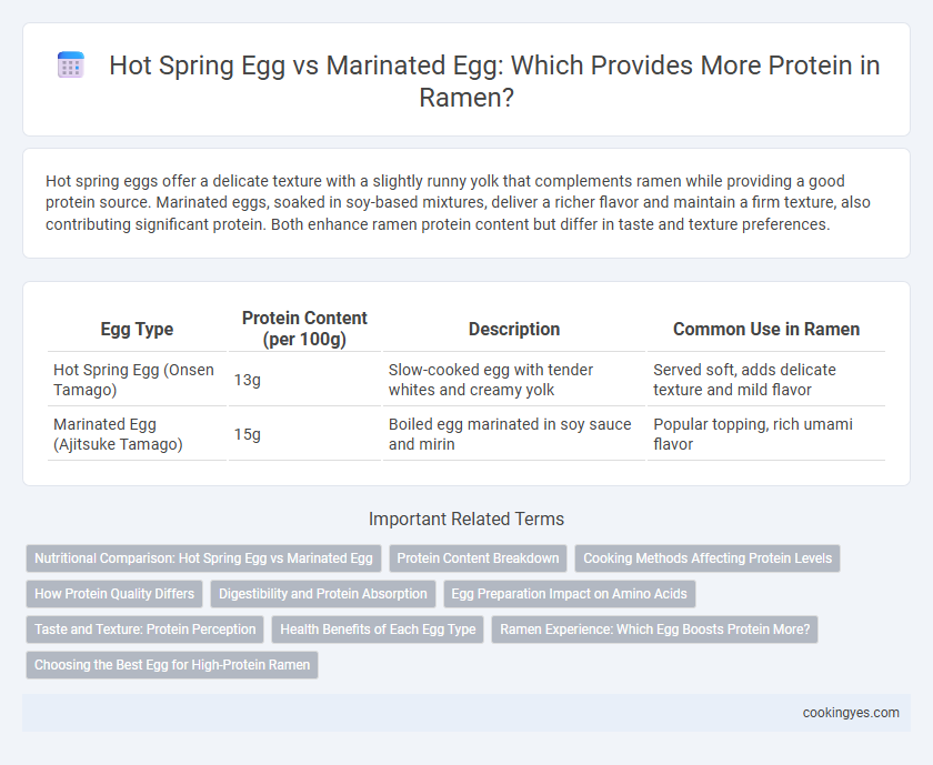 Hot Spring Egg vs Marinated Egg: Which Provides More Protein in Ramen?