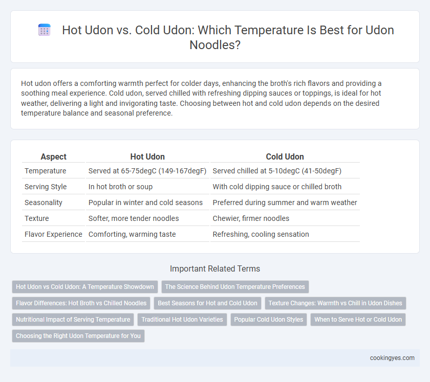 Hot Udon vs. Cold Udon: Which Temperature Is Best for Udon Noodles?