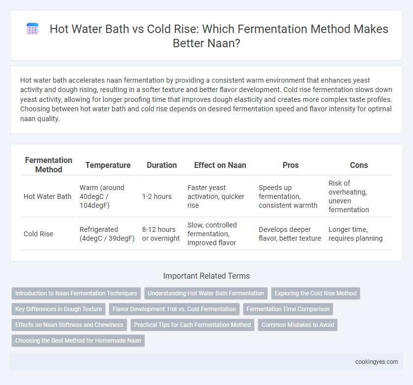 Hot Water Bath vs Cold Rise: Which Fermentation Method Makes Better Naan?