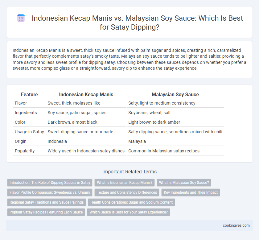 Indonesian Kecap Manis vs. Malaysian Soy Sauce: Which Is Best for Satay Dipping?