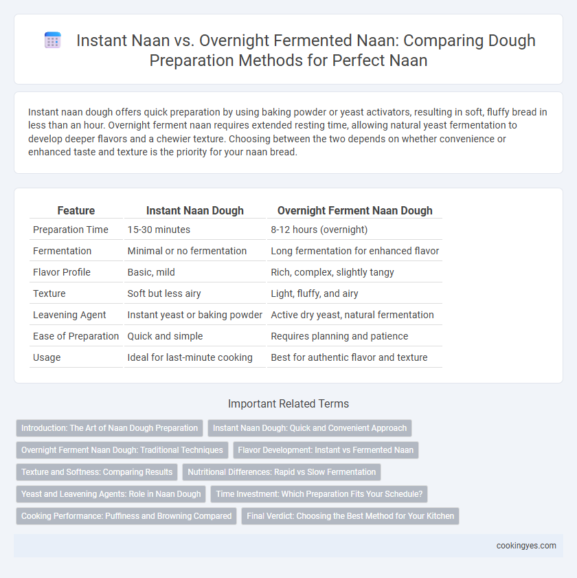 Instant Naan vs. Overnight Fermented Naan: Comparing Dough Preparation Methods for Perfect Naan