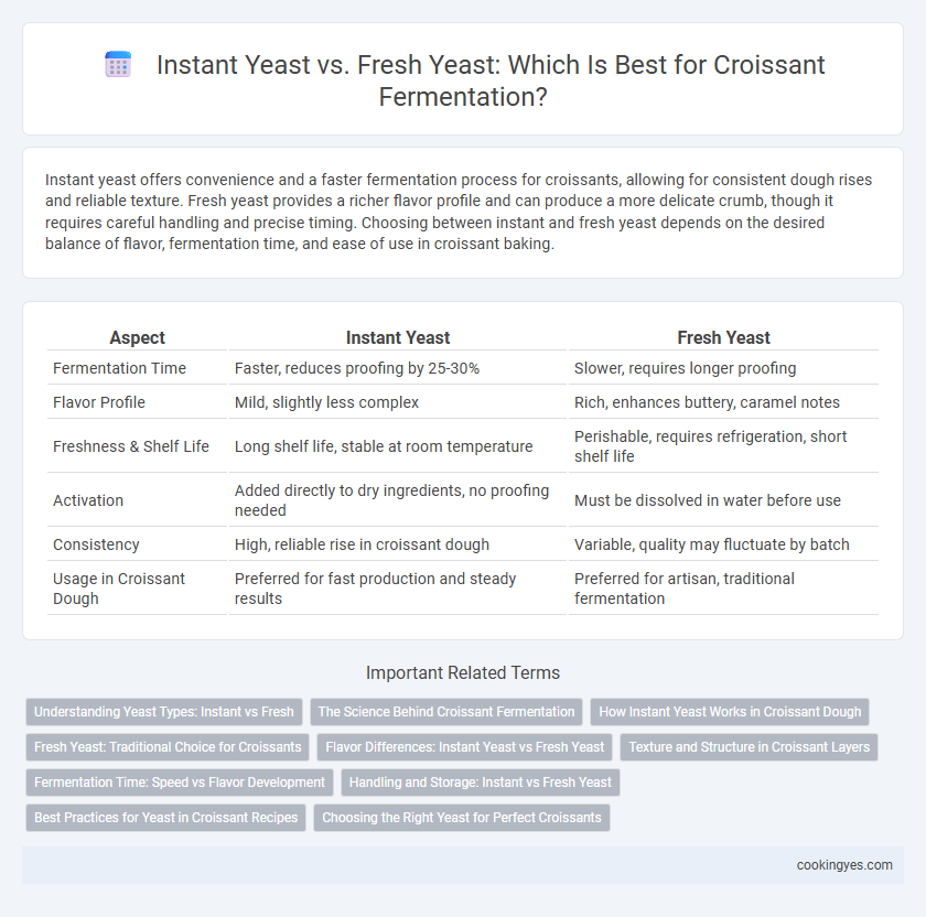 Instant Yeast vs. Fresh Yeast: Which Is Best for Croissant Fermentation?