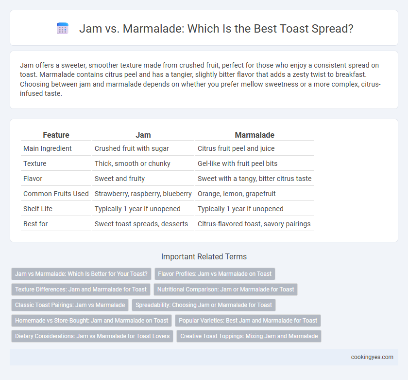 Jam vs. Marmalade: Which Is the Best Toast Spread?