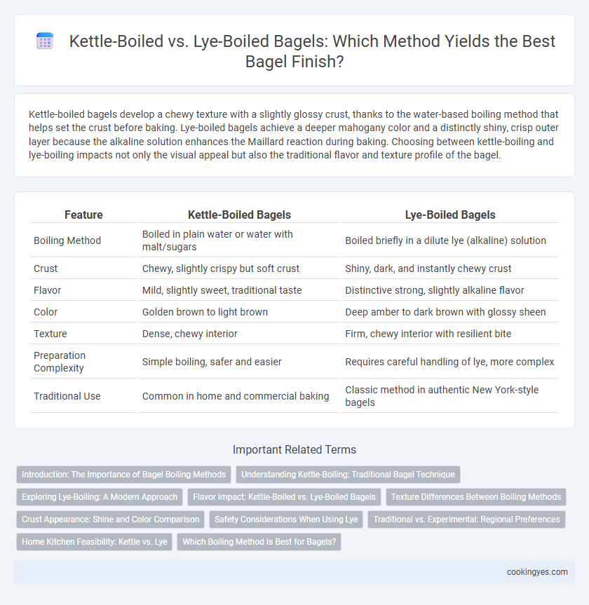 Kettle-Boiled vs. Lye-Boiled Bagels: Which Method Yields the Best Bagel Finish?