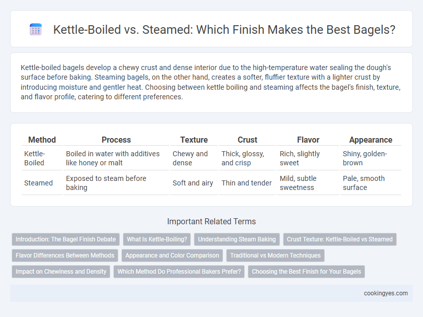 Kettle-Boiled vs. Steamed: Which Finish Makes the Best Bagels?