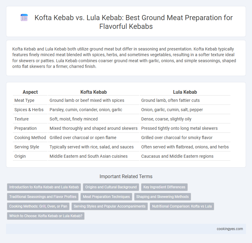 Kofta Kebab vs. Lula Kebab: Best Ground Meat Preparation for Flavorful Kebabs